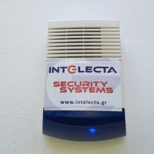 ΕΞΩΤΕΡΙΚΗ ΣΕΙΡΗΝΑ BLUE LED FLASHING ΣΥΝΑΓΕΡΜΟΣ INTELECTA.jpg